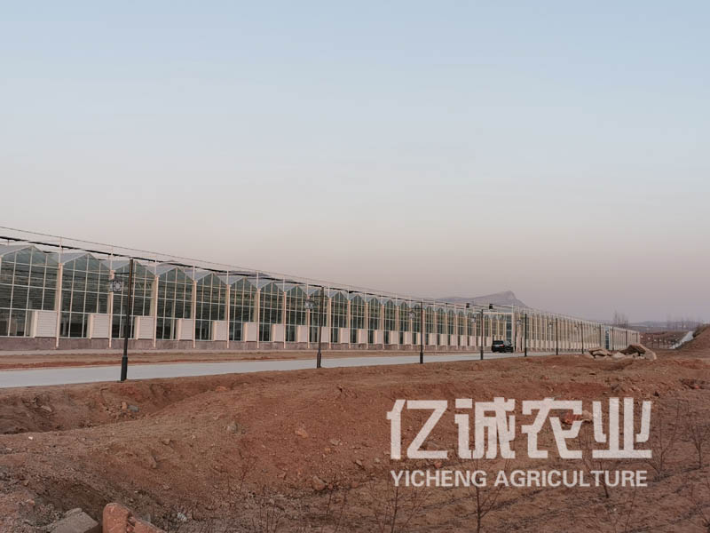 溫室大棚建設廠家